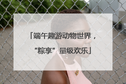 端午趣游动物世界，“粽享”量级欢乐