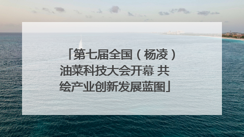 第七届全国（杨凌）油菜科技大会开幕 共绘产业创新发展蓝图