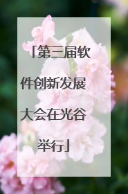 第三届软件创新发展大会在光谷举行