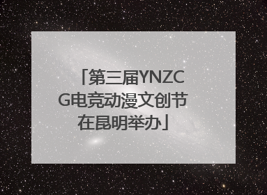 第三届YNZCG电竞动漫文创节在昆明举办