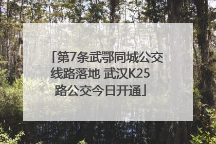 第7条武鄂同城公交线路落地 武汉K25路公交今日开通