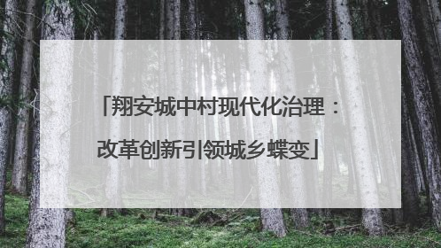 翔安城中村现代化治理：改革创新引领城乡蝶变