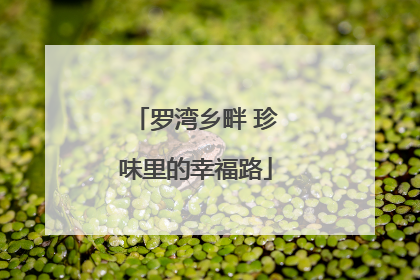 罗湾乡畔 珍味里的幸福路