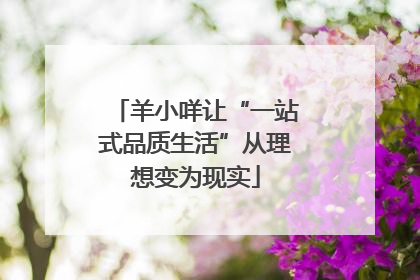 羊小咩让“一站式品质生活”从理想变为现实