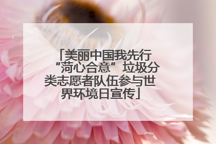 美丽中国我先行 “菏心合意”垃圾分类志愿者队伍参与世界环境日宣传