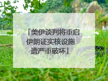 美伊谈判将重启 伊朗证实核设施遭严重破坏