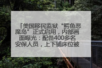 美国移民监狱“鳄鱼恶魔岛”正式启用，内部画面曝光：配备400多名安保人员，上下铺床位被罩在铁丝网里