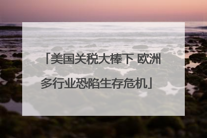 美国关税大棒下 欧洲多行业恐陷生存危机