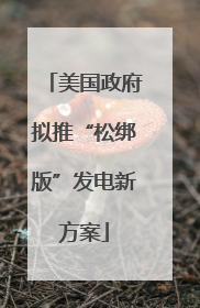 美国政府拟推“松绑版”发电新方案