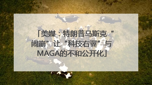 美媒：特朗普马斯克“闹崩”让“科技右翼”与MAGA的不和公开化