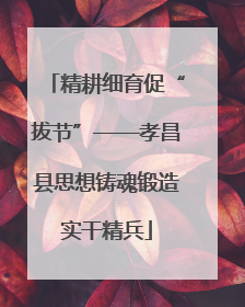 精耕细育促“拔节”——孝昌县思想铸魂锻造实干精兵