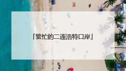 繁忙的二连浩特口岸