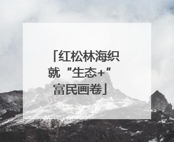红松林海织就“生态+”富民画卷