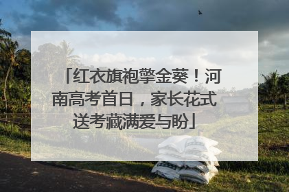 红衣旗袍擎金葵！河南高考首日，家长花式送考藏满爱与盼