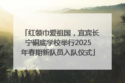 红领巾爱祖国，宜宾长宁硐底学校举行2025年春期新队员入队仪式