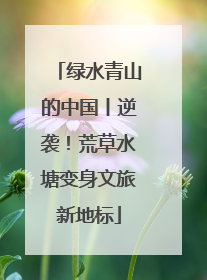 绿水青山的中国丨逆袭！荒草水塘变身文旅新地标