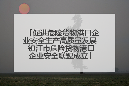 促进危险货物港口企业安全生产高质量发展 镇江市危险货物港口企业安全联盟成立