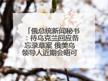 俄总统新闻秘书：待乌克兰回应备忘录草案 俄美乌领导人近期会晤可能性小