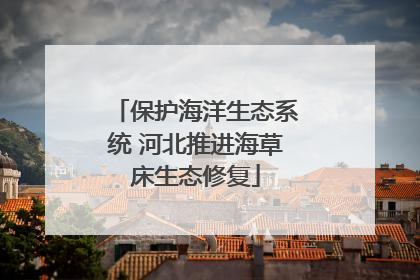保护海洋生态系统 河北推进海草床生态修复