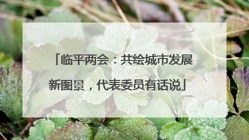 临平两会：共绘城市发展新图景，代表委员有话说