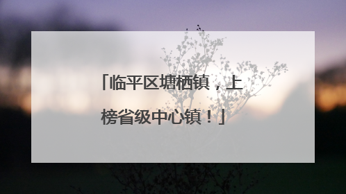 临平区塘栖镇，上榜省级中心镇！