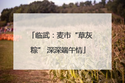临武：麦市“草灰粽” 深深端午情