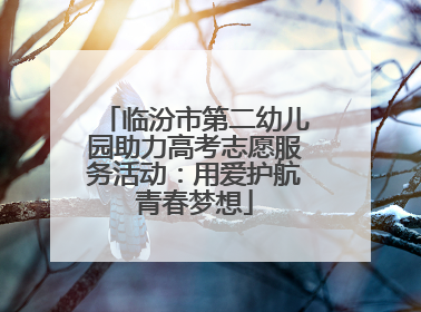 临汾市第二幼儿园助力高考志愿服务活动：用爱护航青春梦想