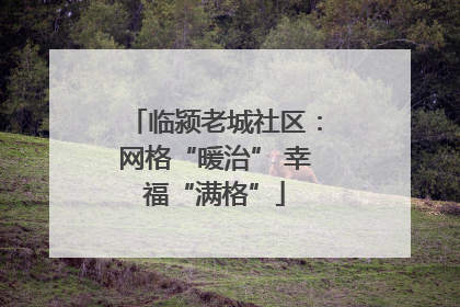 临颍老城社区：网格“暖治” 幸福“满格”