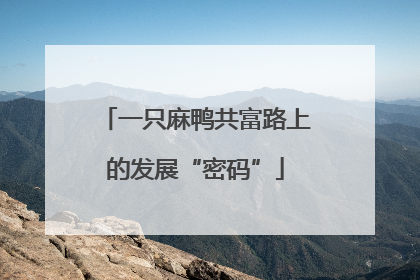 一只麻鸭共富路上的发展“密码”
