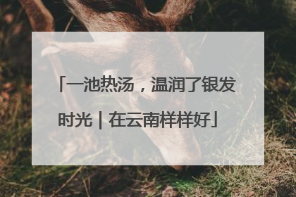 一池热汤，温润了银发时光｜在云南样样好