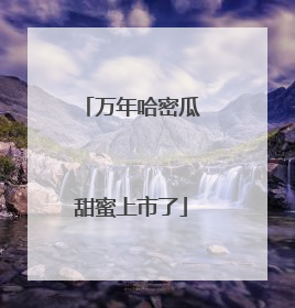 万年哈密瓜甜蜜上市了