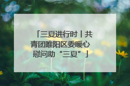 三夏进行时丨共青团睢阳区委暖心慰问助“三夏”