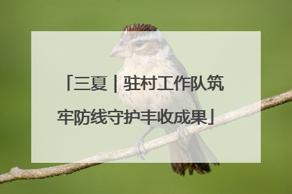 三夏｜驻村工作队筑牢防线守护丰收成果