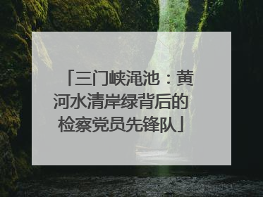 三门峡渑池：黄河水清岸绿背后的检察党员先锋队