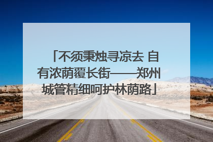 不须秉烛寻凉去 自有浓荫覆长街——郑州城管精细呵护林荫路