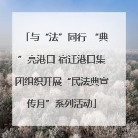 与“法”同行 “典”亮港口 宿迁港口集团组织开展“民法典宣传月”系列活动