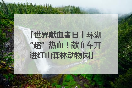 世界献血者日丨环湖“超”热血！献血车开进红山森林动物园