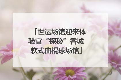 世运场馆迎来体验官“探秘”香城软式曲棍球场馆