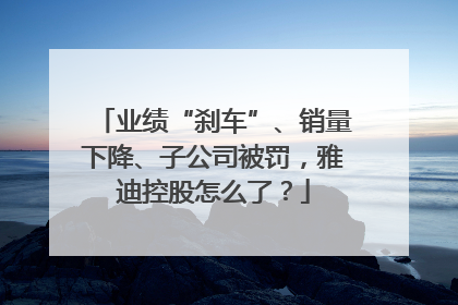 业绩“刹车”、销量下降、子公司被罚，雅迪控股怎么了？