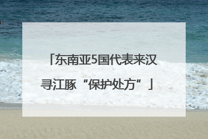 东南亚5国代表来汉寻江豚“保护处方”