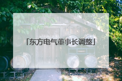 东方电气董事长调整