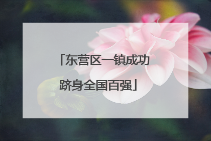 东营区一镇成功跻身全国百强