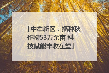中牟新区：播种秋作物53万余亩 科技赋能丰收在望