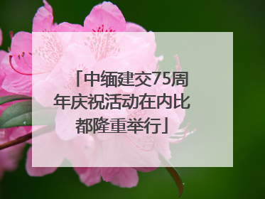 中缅建交75周年庆祝活动在内比都隆重举行