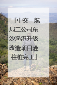 中交一航局二公司东沙渔港升级改造项目灌柱桩完工