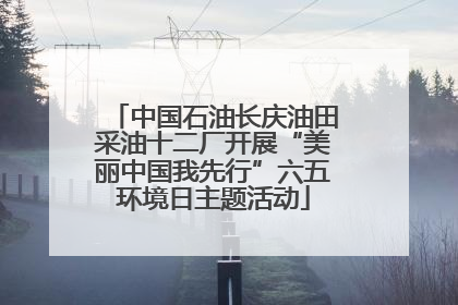 中国石油长庆油田采油十二厂开展“美丽中国我先行”六五环境日主题活动