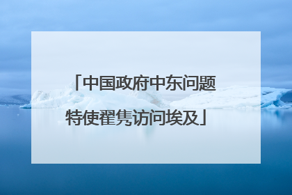 中国政府中东问题特使翟隽访问埃及