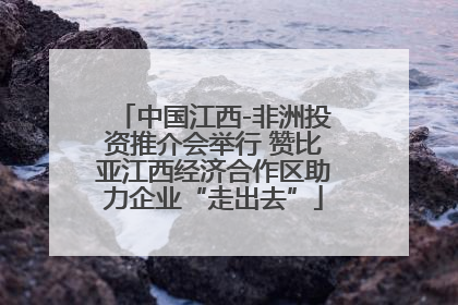 中国江西-非洲投资推介会举行 赞比亚江西经济合作区助力企业“走出去”