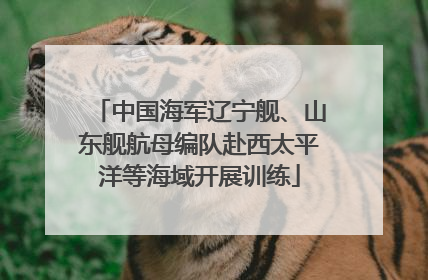 中国海军辽宁舰、山东舰航母编队赴西太平洋等海域开展训练