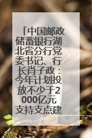 中国邮政储蓄银行湖北省分行党委书记、行长肖子政：今年计划投放不少于2000亿元支持支点建设
